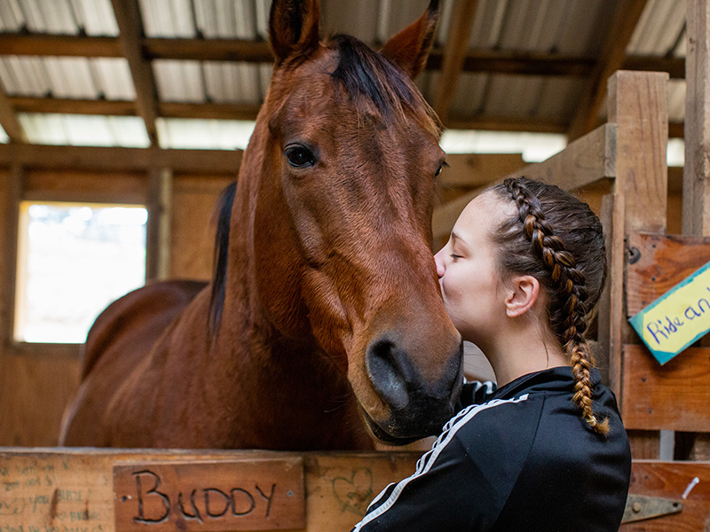 Girl kissing a horse