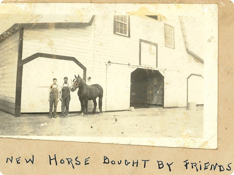 Historical photo of children with horse